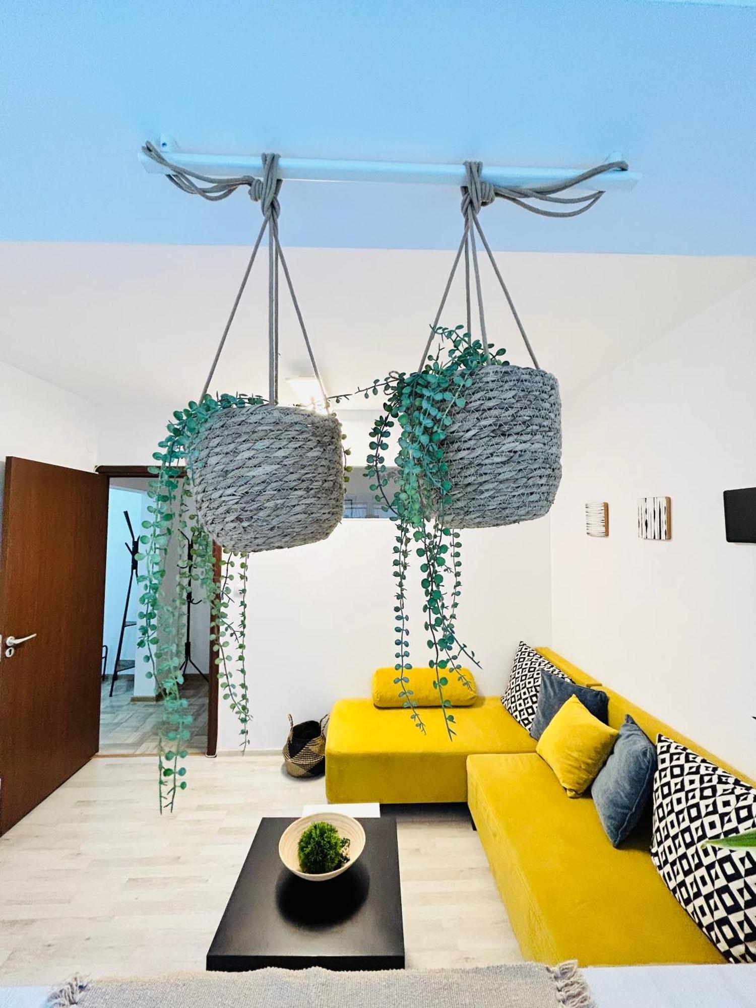 טימישוארה Alisz Apartments מראה חיצוני תמונה