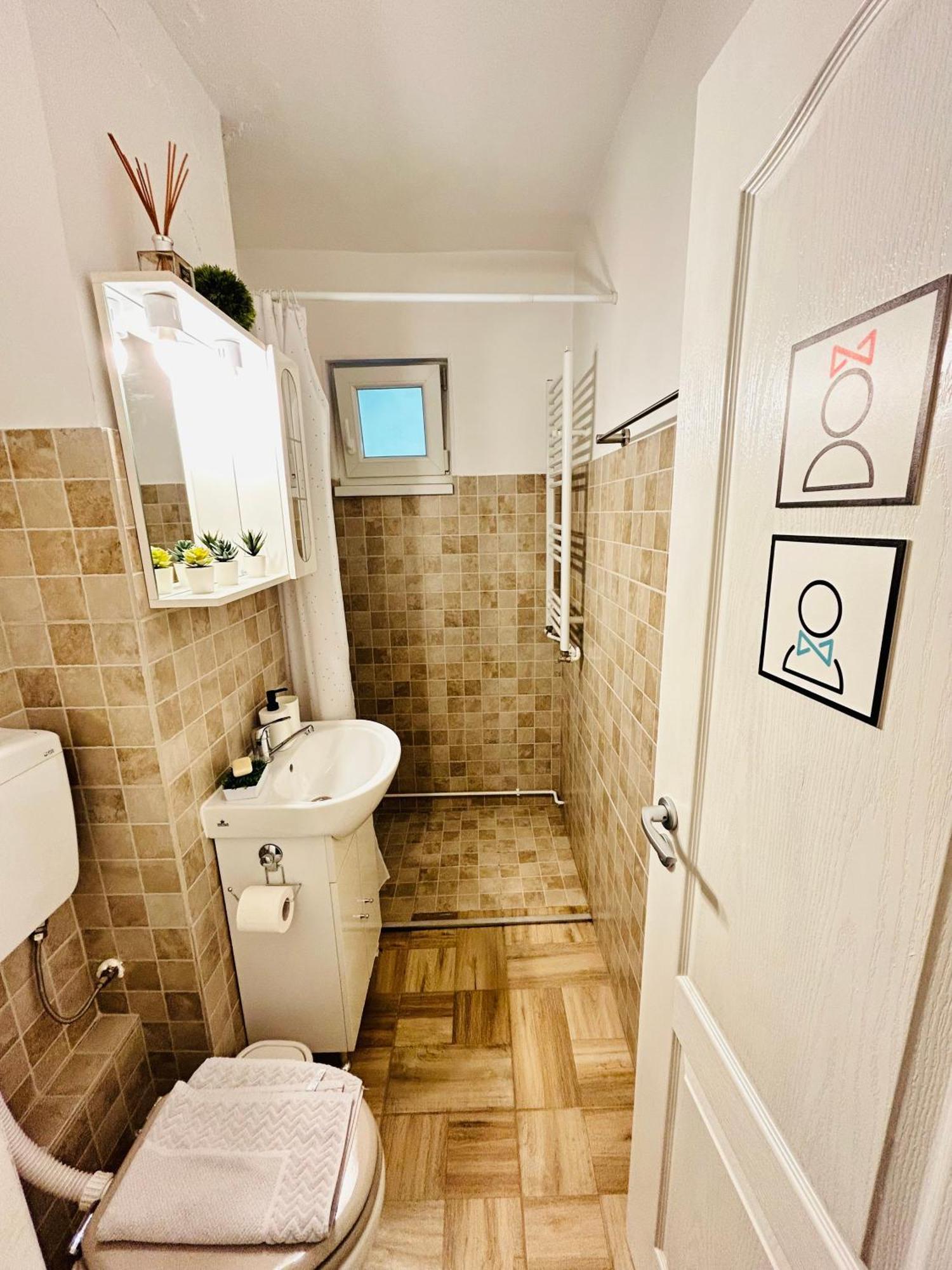 טימישוארה Alisz Apartments מראה חיצוני תמונה