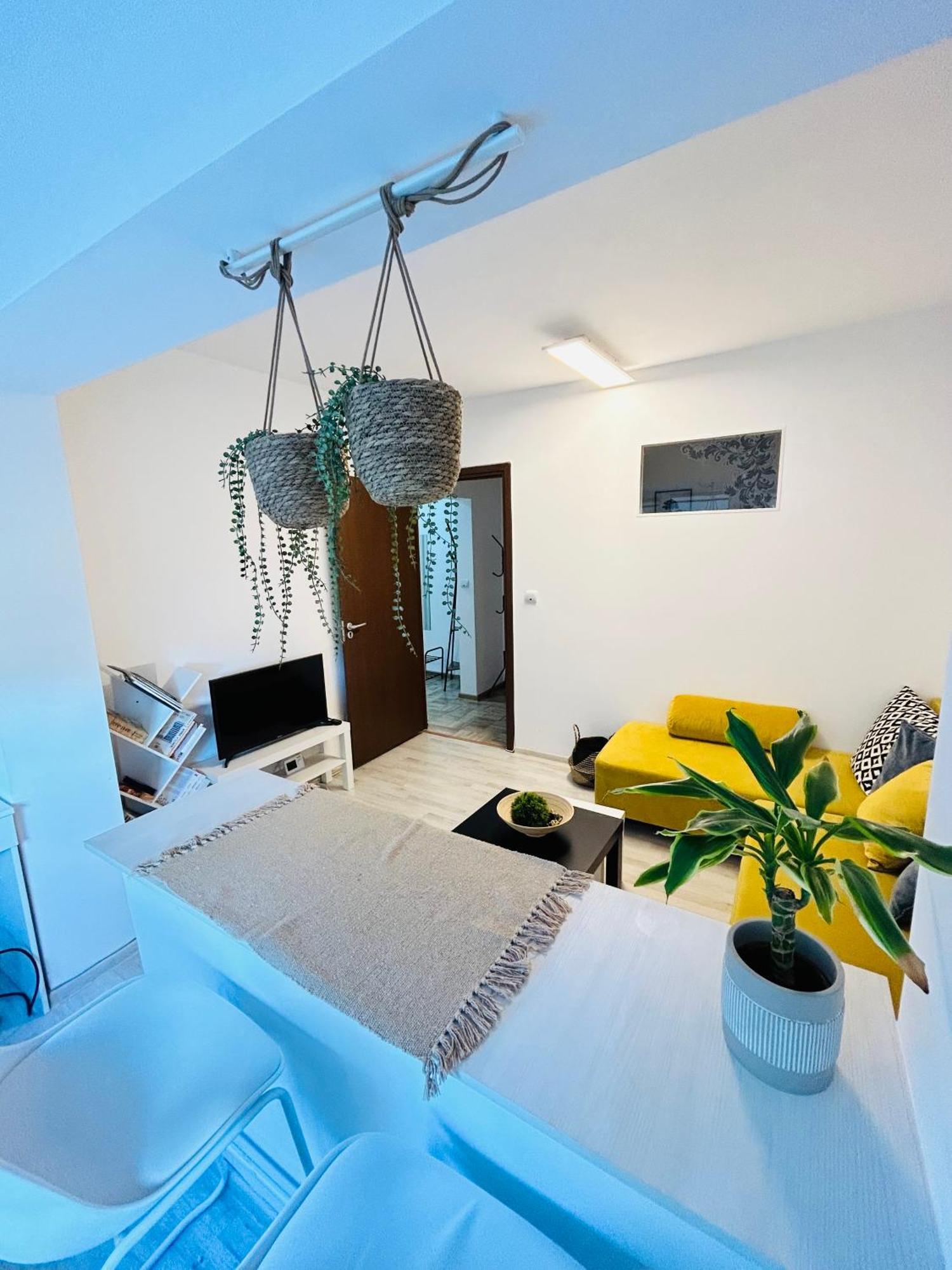 טימישוארה Alisz Apartments מראה חיצוני תמונה