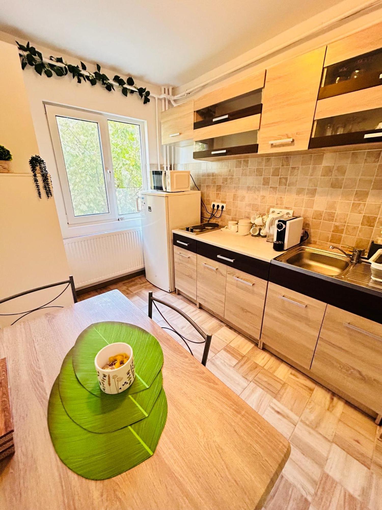 טימישוארה Alisz Apartments מראה חיצוני תמונה