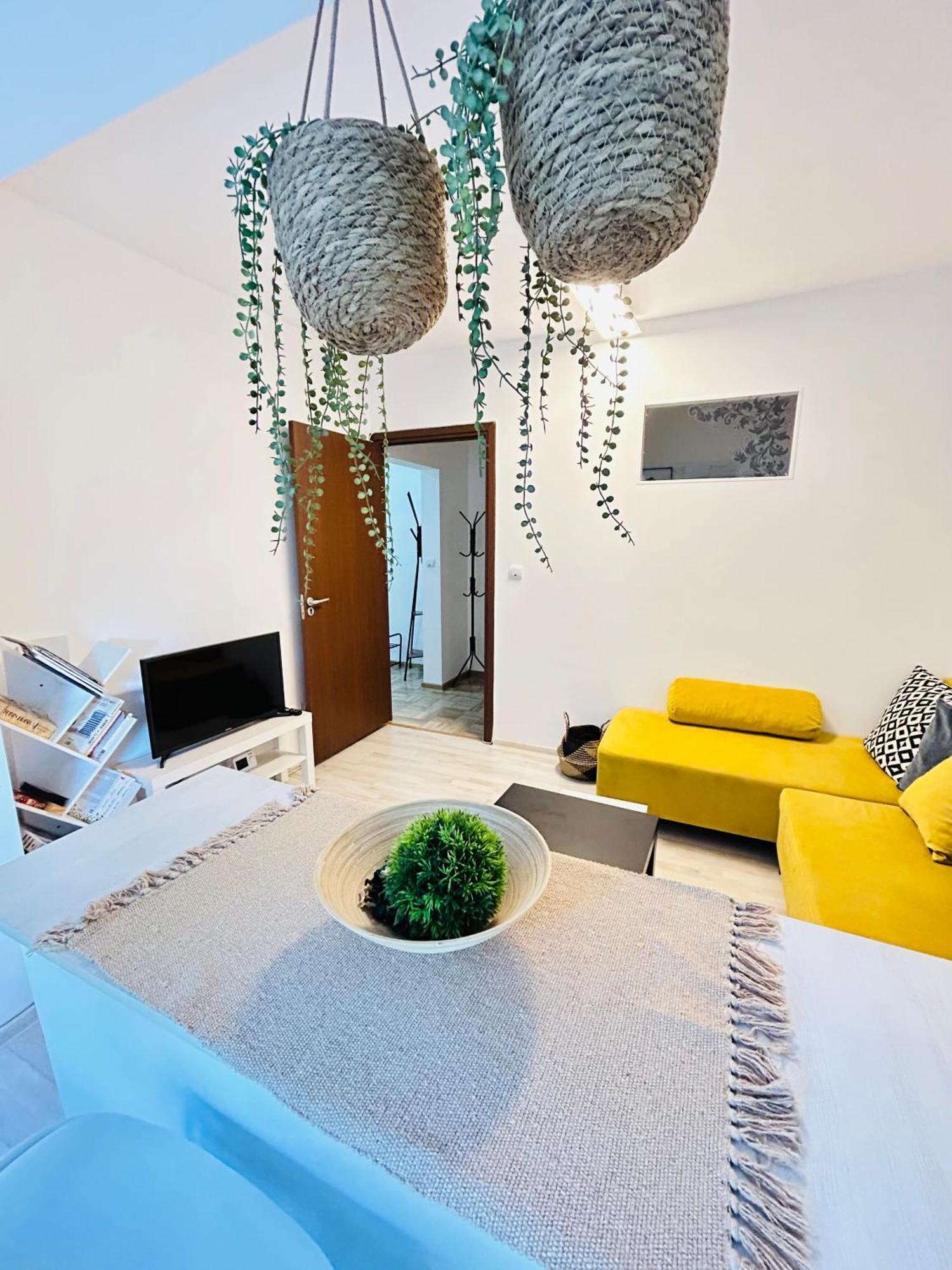 טימישוארה Alisz Apartments מראה חיצוני תמונה