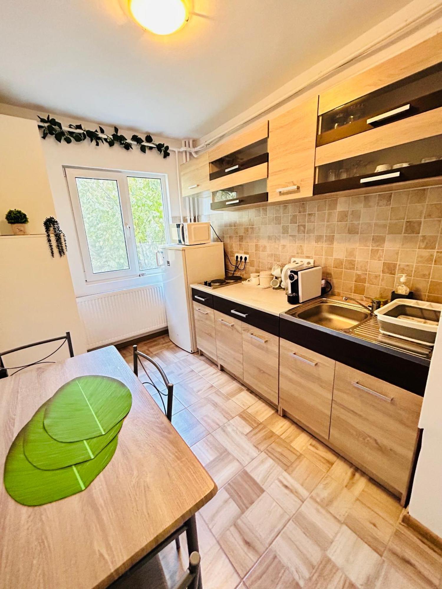 טימישוארה Alisz Apartments מראה חיצוני תמונה