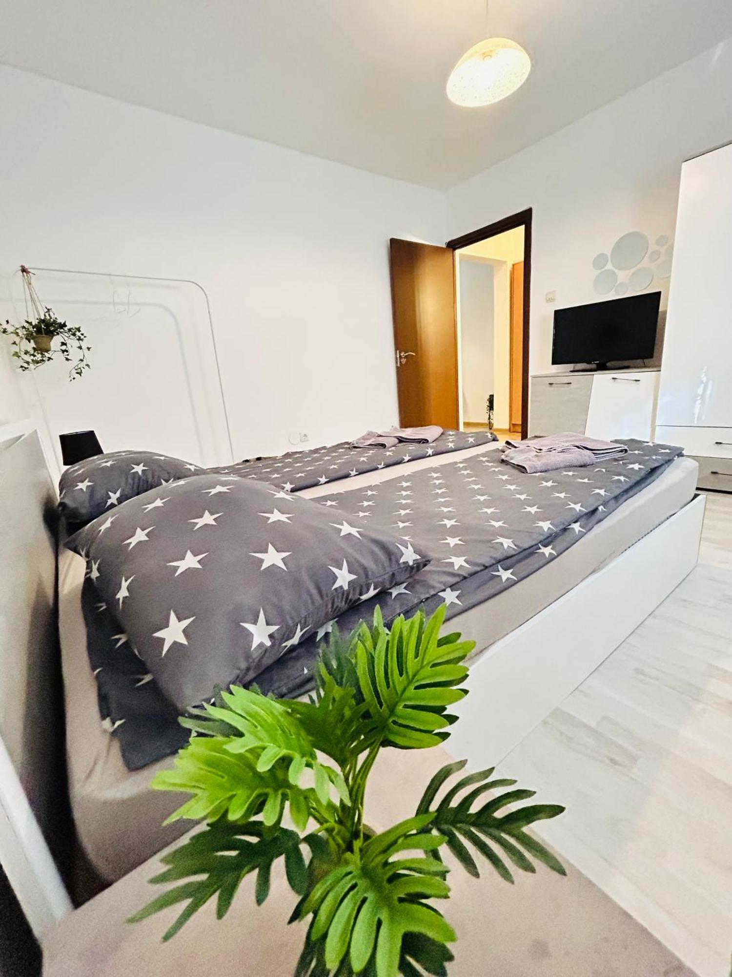 טימישוארה Alisz Apartments מראה חיצוני תמונה