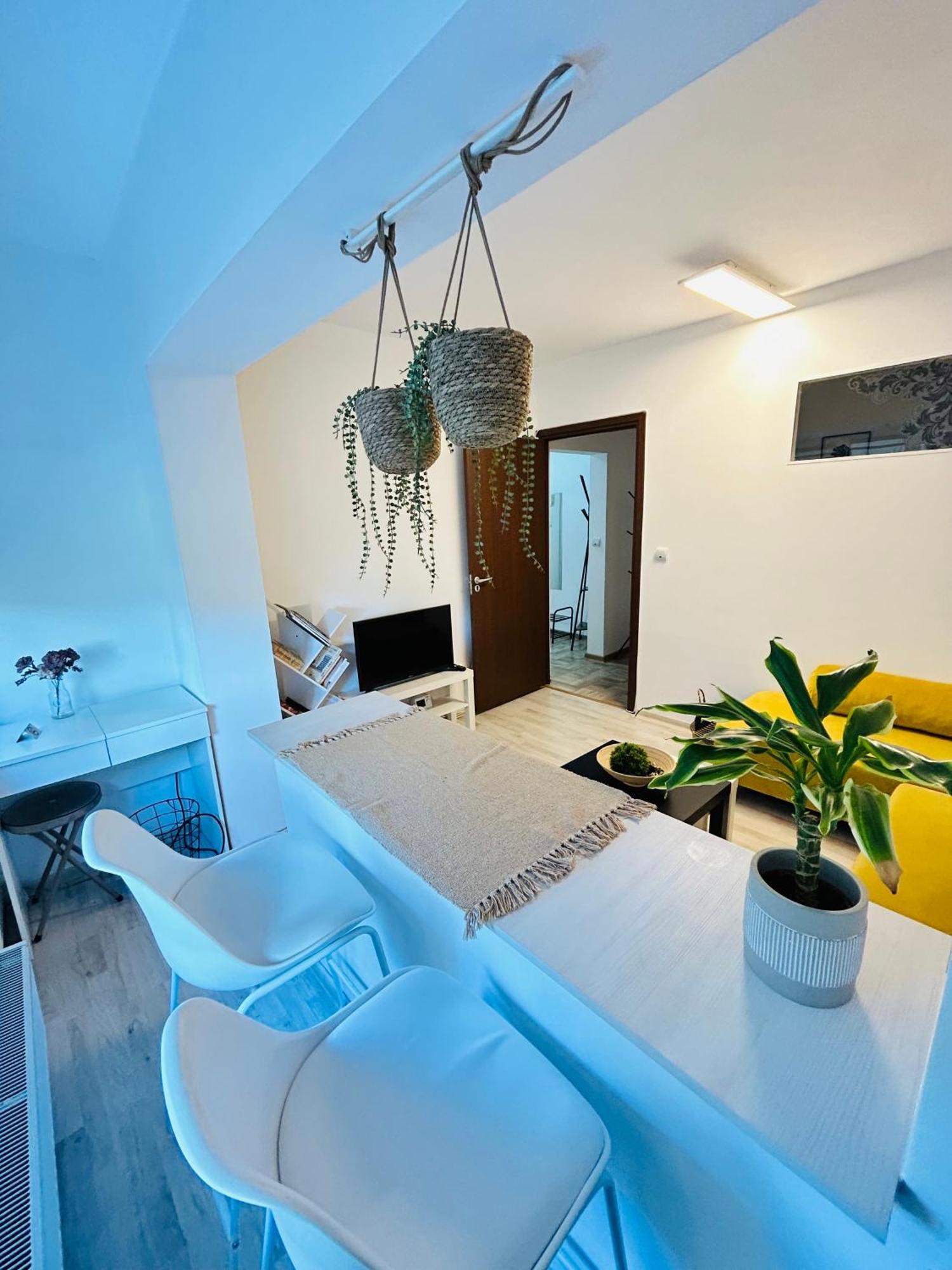 טימישוארה Alisz Apartments מראה חיצוני תמונה